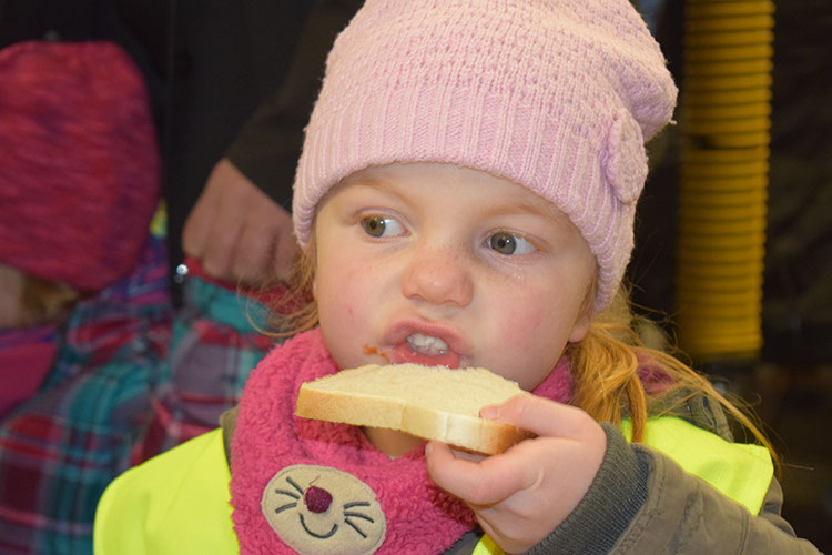 %_tempFileName2017-11-17_Laterne_(78)%