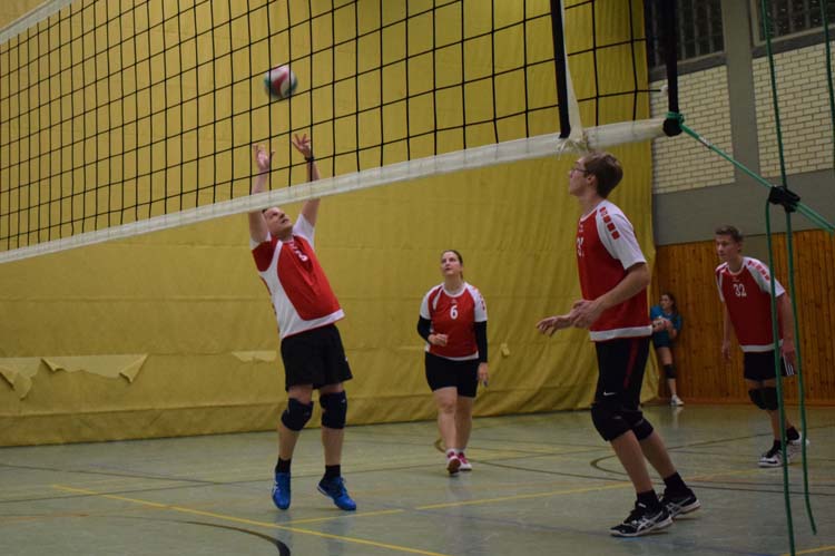 2016-11-18_Mixed_(03)