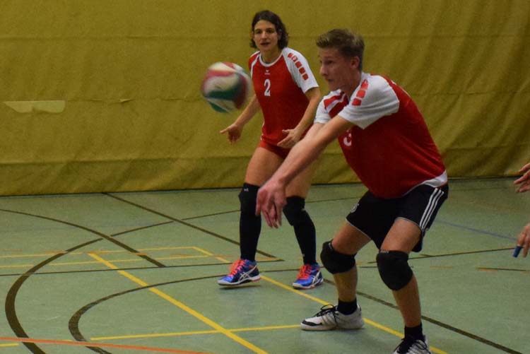 2016-11-18_Mixed_(09)