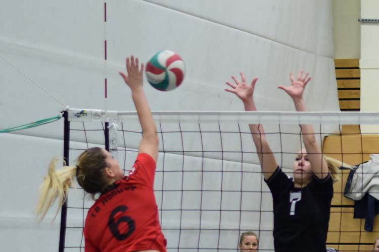 2017-02-11_D1-VL-DJKNeuss_(14)